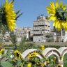عبدالكريم_إلياس profil fotoğrafı