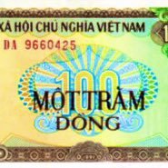 ngoctran0833's profile picture