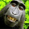 a.trub12 profil fotoğrafı