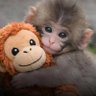 Michel Che's profile picture