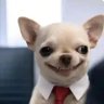 Profilbild von Daniel