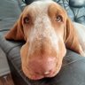 Profilbild von Varghild