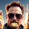 ~₿~ 🧡 BTC Hodl Bitcoin ~₿~ 的头像