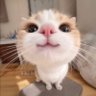Profilbild von 𝐺𝑒𝑐𝑒