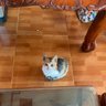 Thaiturauma profil fotoğrafı