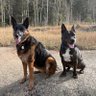 ColoradoMom profil fotoğrafı