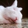 Sofia _D profil fotoğrafı