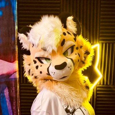 Van (TOP 10%) 🔜 FWA's profile picture