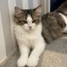 じろきちくん profil fotoğrafı