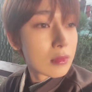 ringo's profile picture