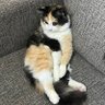 Chhhhggh's profile picture