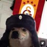 bero 🇹🇷🐺 profil fotoğrafı