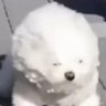 あ's profile picture