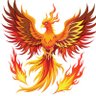 Nicol's profile picture