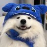 Profilbild von 灯塔上的雾