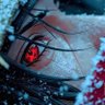 Profilbild von ✡ןǝuuʎ🂮