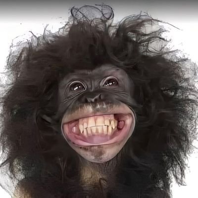 Sachin kumar's profile picture