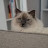 yyySun's profile picture