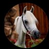 Фото профиля ….