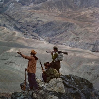 khalowardak's profile picture