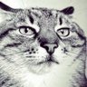 Profilbild von Jimmy Nelson