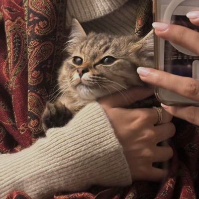 وهـاد بنت عبدالعزيز's profile picture