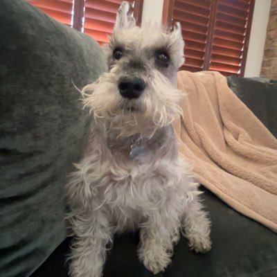 Maddenv_'s profile picture