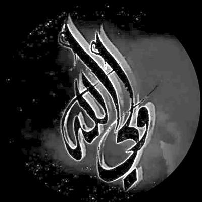 wali__allah's profile picture