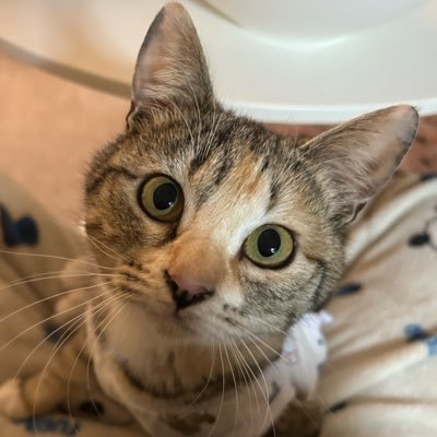 당근🥕's profile picture