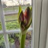 Фото профиля dONrOTI