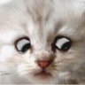 Holly at Altitude's profile picture