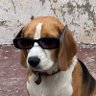 MatU's profile picture