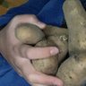 Profilbild von imoboy🥔