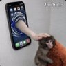 tenos profil fotoğrafı