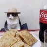 TerrorBunny95's profile picture