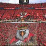 🦅mohamed elfrmawy🦅's profile picture