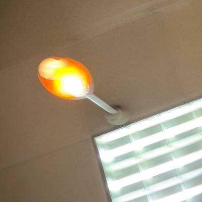 Boldlikess's profile picture
