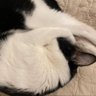 封印さん profil fotoğrafı