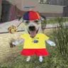 biroliro's profile picture