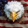 Profilbild von ChrisPatriot
