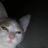 Profilbild von DAGEZ