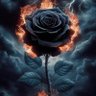 Principe_Lord_Darth_OLBAID's profile picture