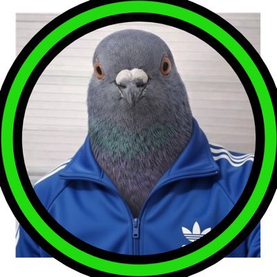 cio's profile picture