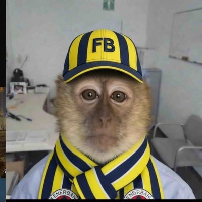 000toprak's profile picture