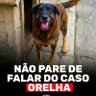 Profilbild von Edy silverio LULA silva