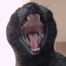 Profilbild von とみ