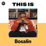 Profilbild von BosaLin Lyrics