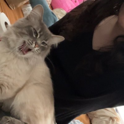 prollybored's profile picture
