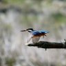 田舎のオジサン profil fotoğrafı