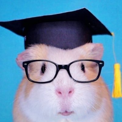 filmbychewba's profile picture